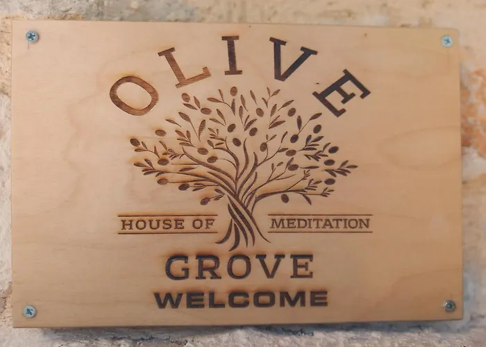 Meditation Olive House