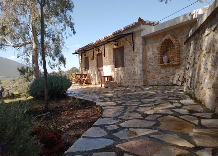 Meditation Olive House