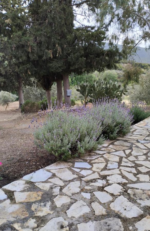 Meditation Olive House Holiday home Pelei