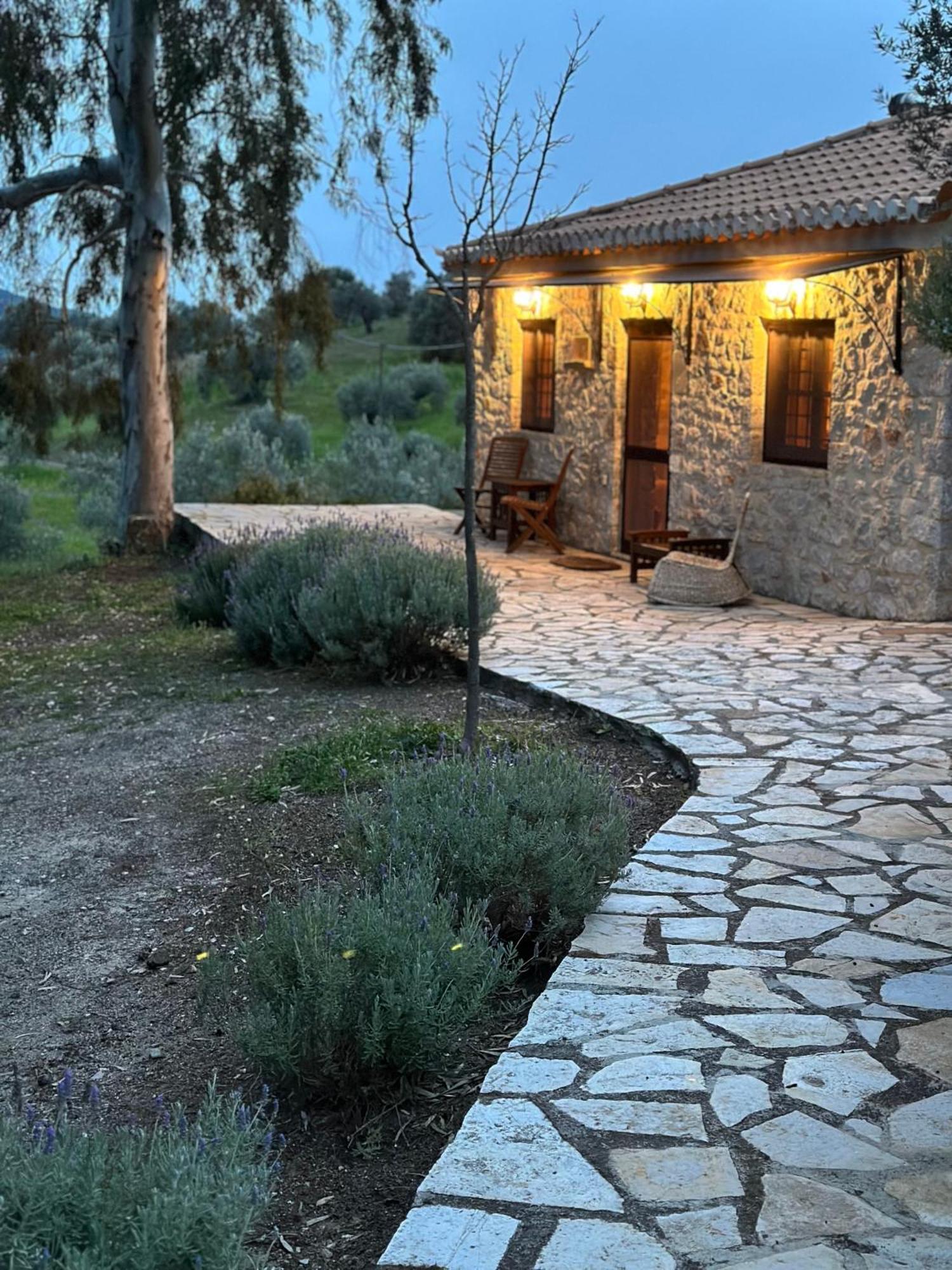 Meditation Olive House Holiday home *
