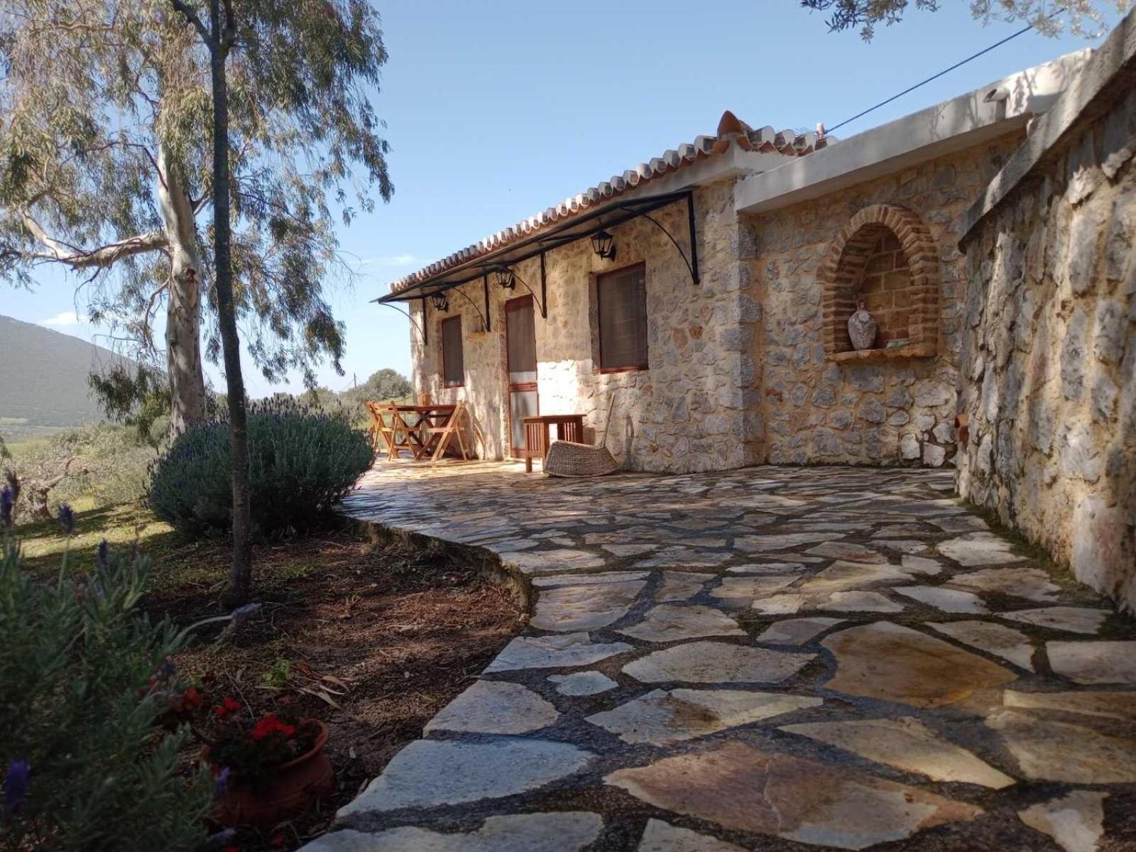 Meditation Olive House Holiday home Pelei